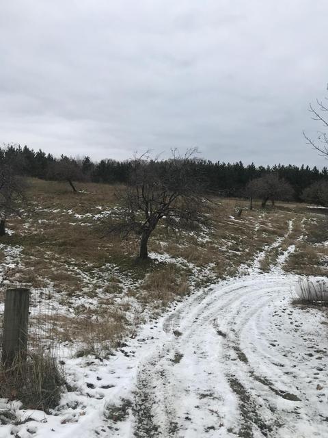 18810 Mcintire Rd, Comins, MI 48619 photo 33