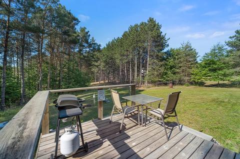 7390 Silver Lake Rd, Wolverine, MI 49799 photo 6