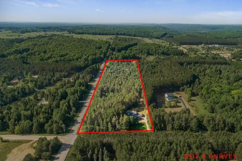 7390 Silver Lake Rd, Wolverine, MI 49799 photo 15