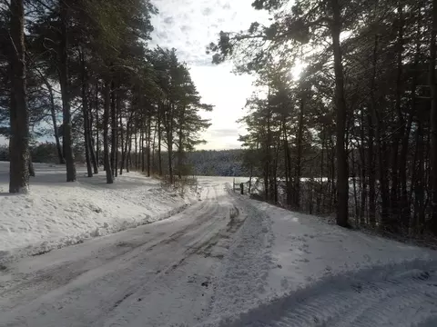3600 Webb Rd, Wolverine, MI 49799 photo 3