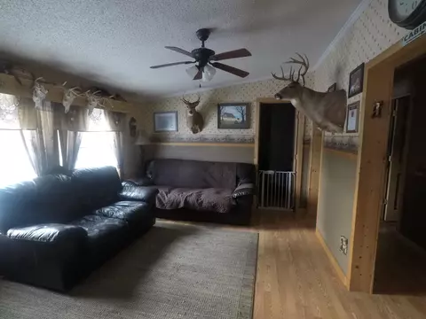 3600 Webb Rd, Wolverine, MI 49799 photo 6