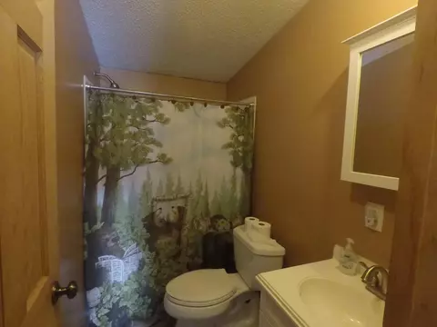 3600 Webb Rd, Wolverine, MI 49799 photo 20