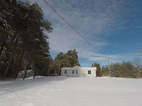 3600 Webb Rd, Wolverine, MI 49799 photo 16