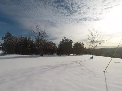 3600 Webb Rd, Wolverine, MI 49799 photo 15