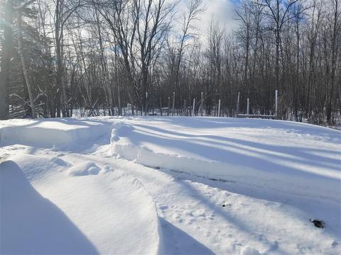 8588 Silver Strand Rd, Levering, MI 49755 photo 50