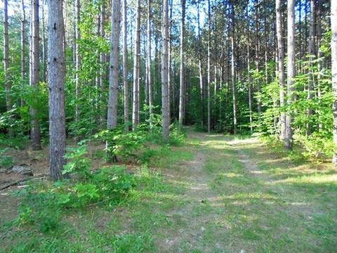 2002 Lowry Lane Comins Mi 48619 Ln, Comins, MI 48619 photo 14