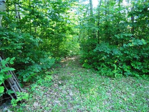 2002 Lowry Lane Comins Mi 48619 Ln, Comins, MI 48619 photo 16