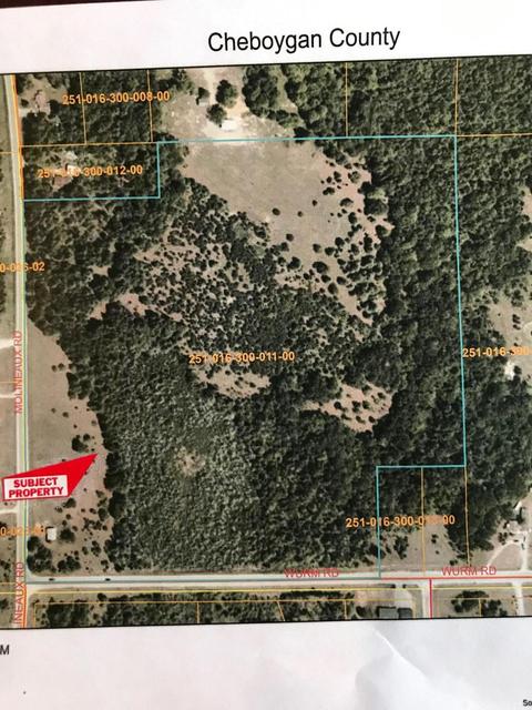 3982 Wurm Road Wolverine Mi 49799 Rd, Wolverine, MI 49799 photo 2