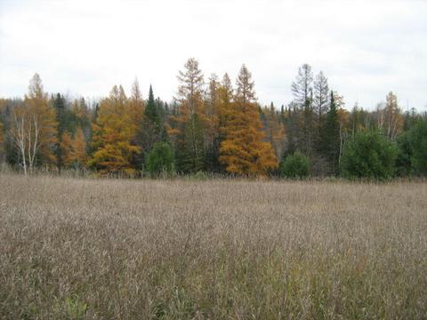 3982 Wurm Road Wolverine Mi 49799 Rd, Wolverine, MI 49799 photo 11
