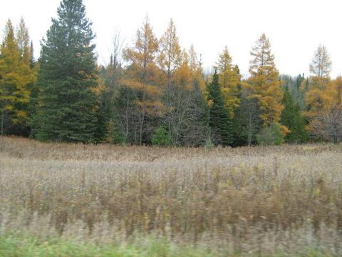 3982 Wurm Road Wolverine Mi 49799 Rd, Wolverine, MI 49799 photo 12