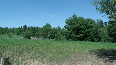 3982 Wurm Road Wolverine Mi 49799 Rd, Wolverine, MI 49799 photo 9