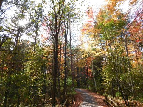 163 Wendy Ln, Grayling, MI 49738 photo 39