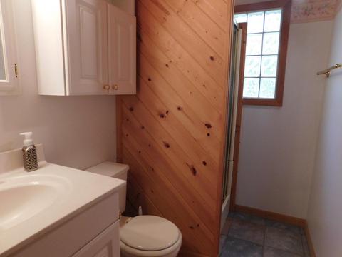163 Wendy Ln, Grayling, MI 49738 photo 53