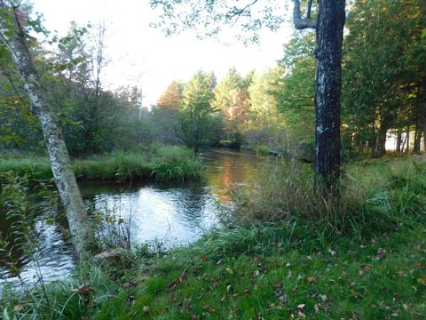 163 Wendy Ln, Grayling, MI 49738 photo 5