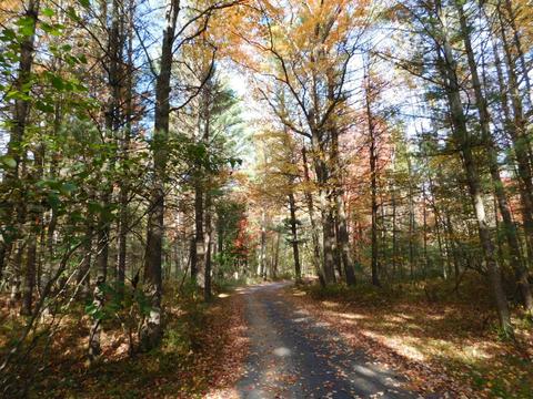 163 Wendy Ln, Grayling, MI 49738 photo 37