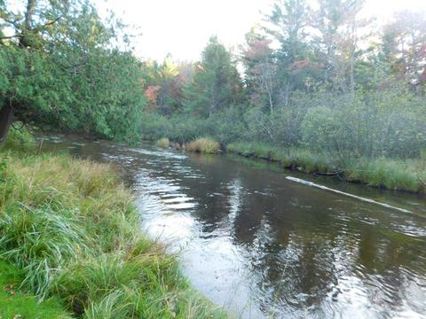 163 Wendy Ln, Grayling, MI 49738 photo 6