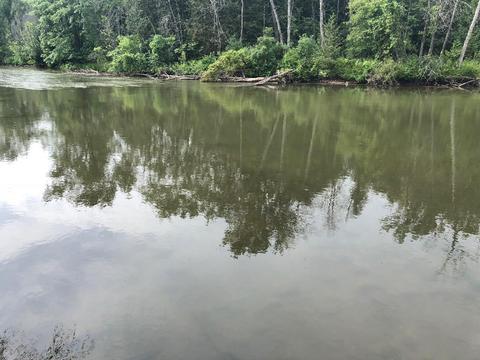 12015 Long Rapids Rd, Lachine, MI 49753 photo 22