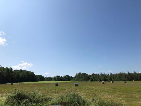 13759 Werth Rd, Lachine, MI 49753 photo 16