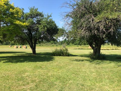 13759 Werth Rd, Lachine, MI 49753 photo 18