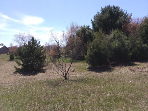 15568 Valley Dr, Wolverine, MI 49799 photo 4