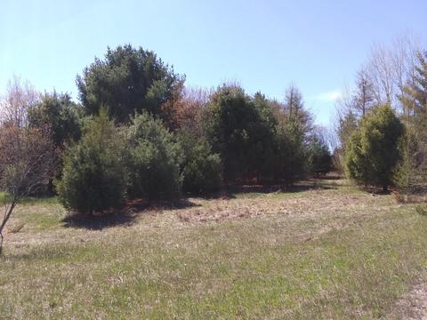 15568 Valley Dr, Wolverine, MI 49799 photo 3