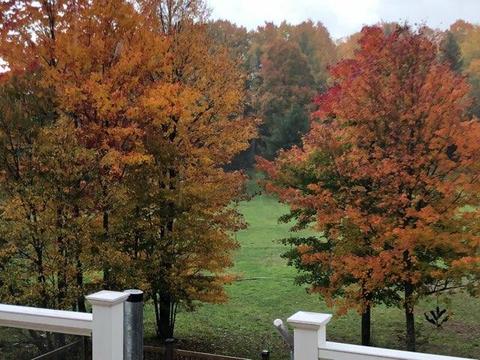 6685 N Petersen Rd, Frederic, MI 49733 photo 67