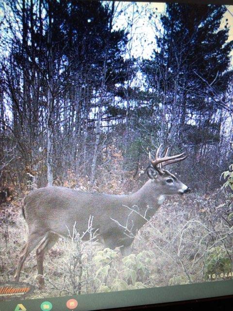 6685 N Petersen Rd, Frederic, MI 49733 photo 72