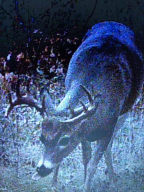 6685 N Petersen Rd, Frederic, MI 49733 photo 73
