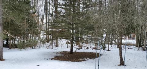 1399 Wayne Rd, Alpena, MI 49707 photo 15