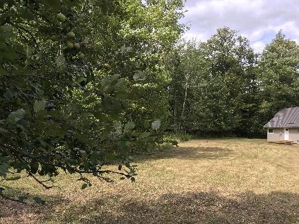 2387 Steiner Rd, Comins, MI 48619 photo 20