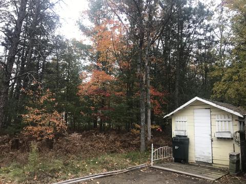 10054 Battalion Blvd, Grayling, MI 49738 photo 37