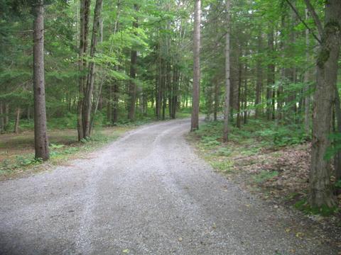 10150 Harrison Road Herron Mi 49744 Rd, Herron, MI 49744 photo 2