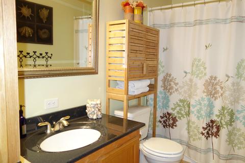 16380 Riverline Dr, Wolverine, MI 49799 photo 12