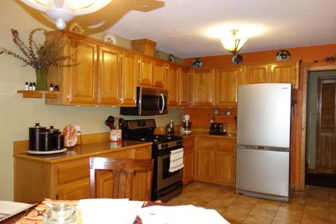 16380 Riverline Dr, Wolverine, MI 49799 photo 7