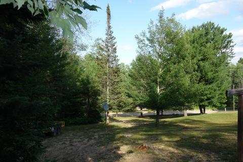 16380 Riverline Dr, Wolverine, MI 49799 photo 27