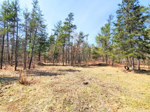 2232 S Stephan Bridge Rd, Grayling, MI 49738 photo 5