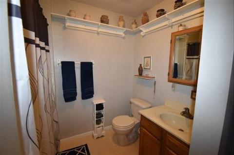 3222 Rasmus Dr, Grayling, MI 49738 photo 14