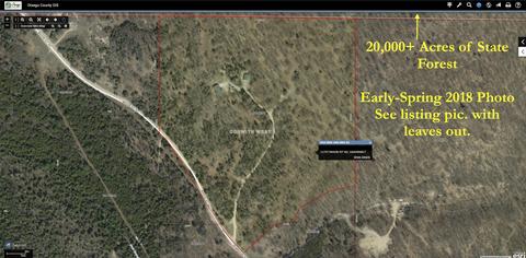 11757 Mason Pit Rd, Vanderbilt, MI 49795 photo 31