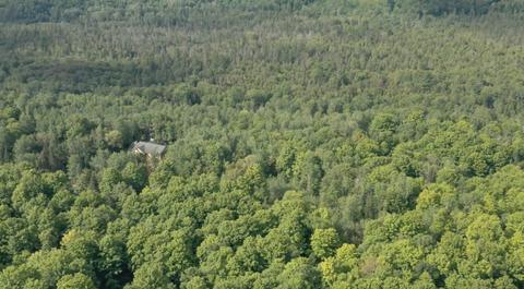 11757 Mason Pit Rd, Vanderbilt, MI 49795 photo 35