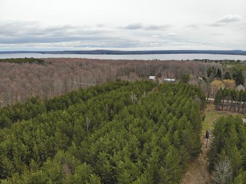 9612 King Rd, Alanson, MI 49706 photo 5
