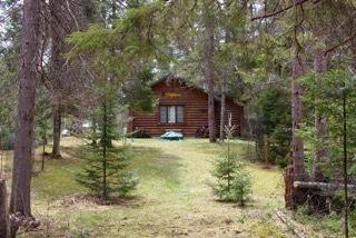 253 Black Bear Dr, Grayling, MI 49738 photo 4