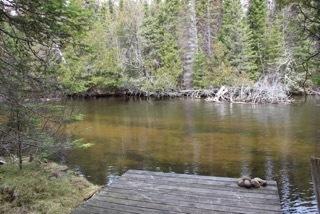 253 Black Bear Dr, Grayling, MI 49738 photo 5