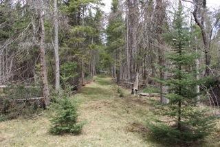 253 Black Bear Dr, Grayling, MI 49738 photo 19