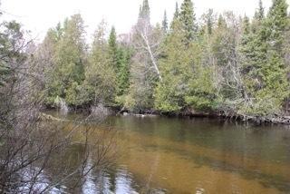 253 Black Bear Dr, Grayling, MI 49738 photo 21