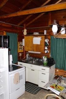 253 Black Bear Dr, Grayling, MI 49738 photo 12