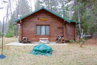 253 Black Bear Dr, Grayling, MI 49738 photo 1