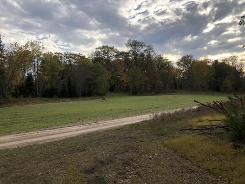 3231 Tote Road Comins Mi 48619 Rd, Comins, MI 48619 photo 28