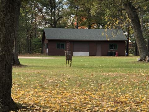 3231 Tote Road Comins Mi 48619 Rd, Comins, MI 48619 photo 14