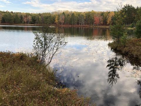 3231 Tote Road Comins Mi 48619 Rd, Comins, MI 48619 photo 8