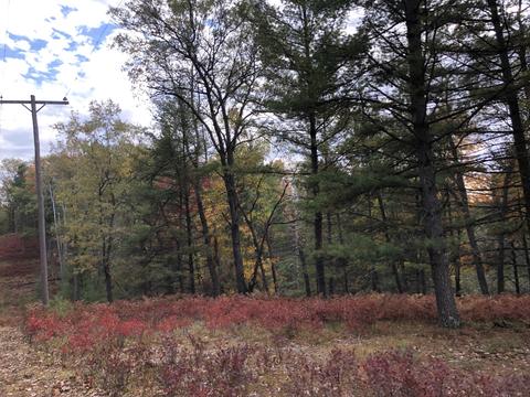 3231 Tote Road Comins Mi 48619 Rd, Comins, MI 48619 photo 53